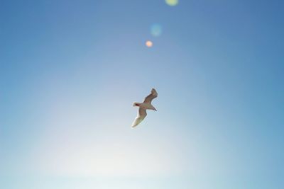 Low angle view of person jumping against clear blue sky