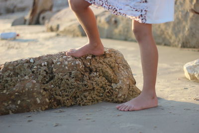 Low section of woman on beach