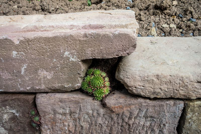 Close-up of stone wall