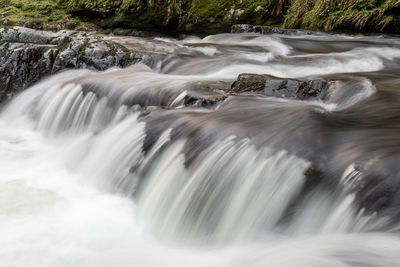 Scenic view of waterfall in forest