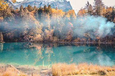 Scenic view of lake blausee