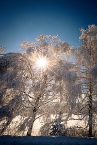 View of snow covered landscape against blue sky
