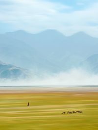 Scenic view of mountains against sky