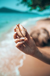 Close-up of hand holding shell on beach