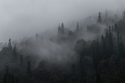 Scenic view of mountains during foggy weather