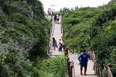 Rear view of people walking on plants