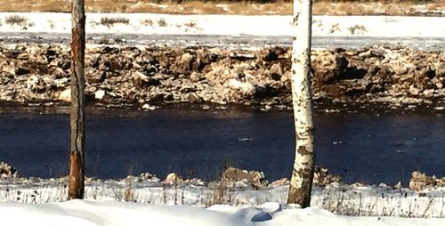 Scenic view of snow during winter