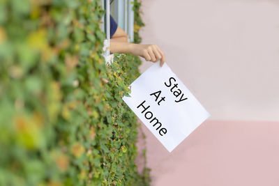 Midsection of person holding text on plant