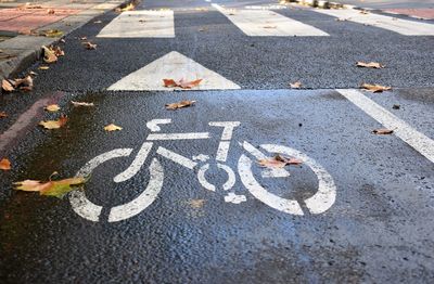 White painted bike marking on a london cycling lane  in autumn with fallen leaves and wet tarmac