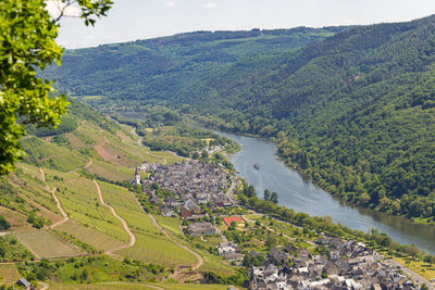 Beautiful, ripening vineyards in the spring season in western germany, the moselle river flowing.