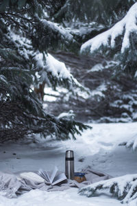 Scenic view of snow covered landscape