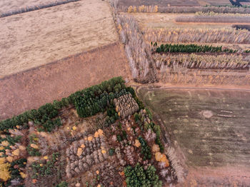 High angle view of farm