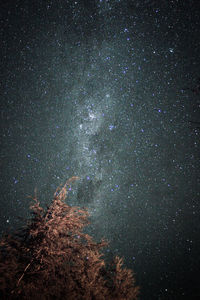 Low angle view of star field at night