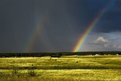 Scenic view of rainbow over field