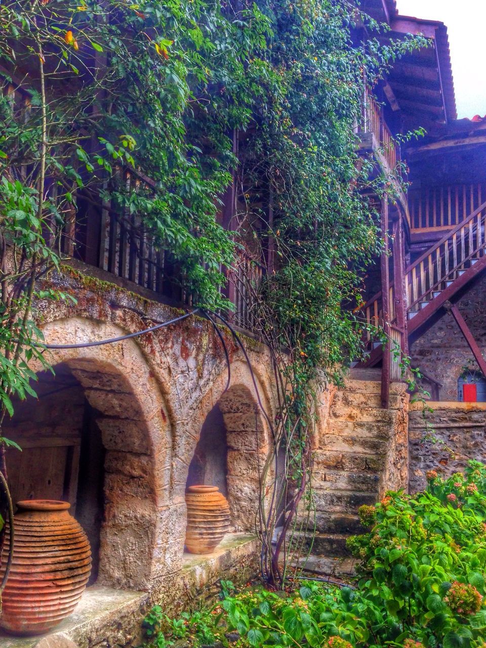 architecture, built structure, building exterior, arch, tree, old, house, plant, steps, history, growth, staircase, steps and staircases, low angle view, building, day, stone wall, no people, entrance, outdoors