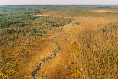 Aerial view of river flowing through forest