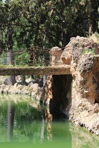 Stone bridge over lake in forest