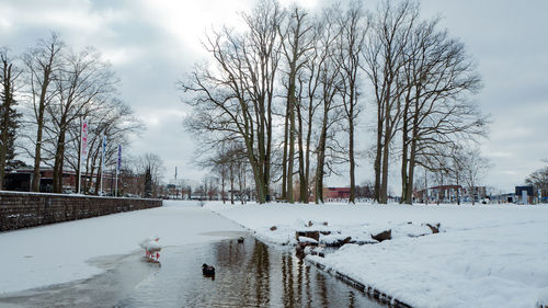 View of frozen lake against sky