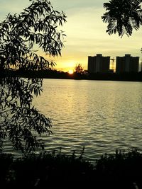 Silhouette tree by lake against sky during sunset