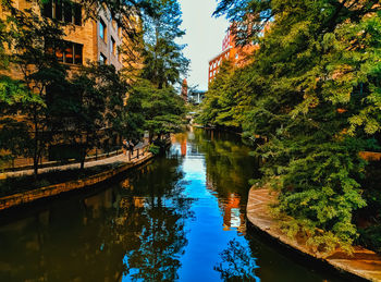 Canal amidst trees in city