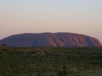Scenic view of field against clear sky