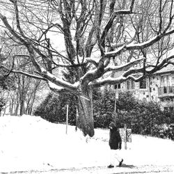 Low angle view of bare tree against sky
