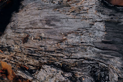 soil