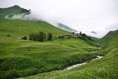 Scenic view of green landscape against sky