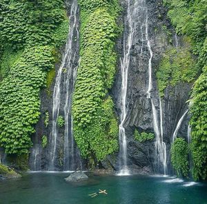 Waterfall in forest