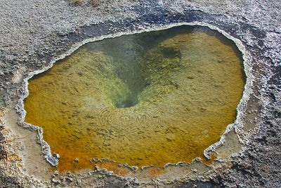 High angle view of rock