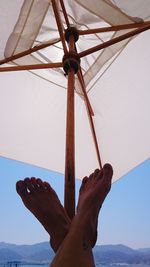 Low angle view of cropped tree against sky