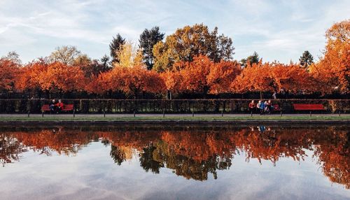 Reflection of trees in water