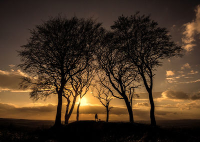 Silhouette bare tree on field against sky at sunset