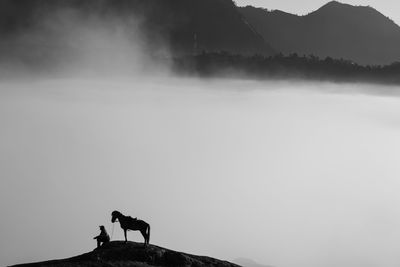 Silhouette horse standing on mountain against sky