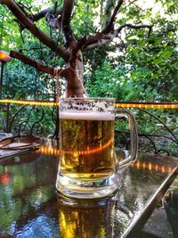 Close-up of beer glass on table