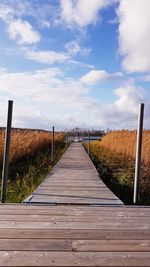 Surface level of boardwalk along landscape