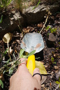 High angle view of hand holding plants