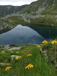 Scenic view of lake and mountains