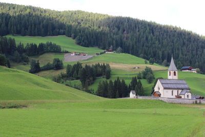 Scenic view of agricultural field