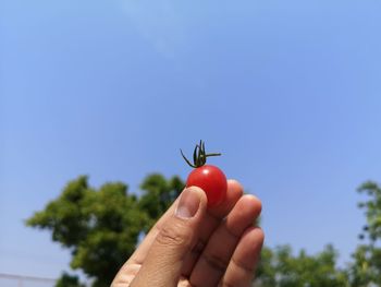 Close-up of hand holding strawberry against sky