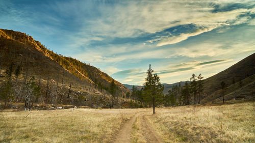 Scenic view of landscape against sky