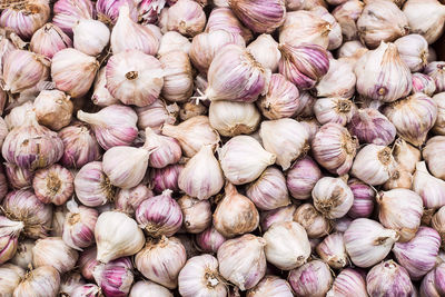 A lot of garlic background. autumn harvest on the market 