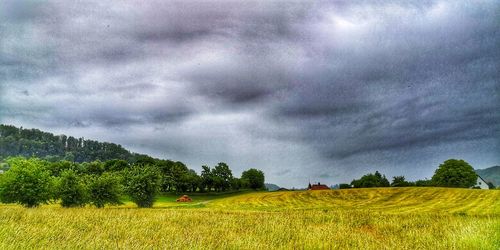 Scenic view of field against sky