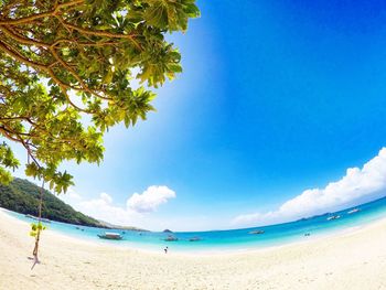 View of beach against blue sky