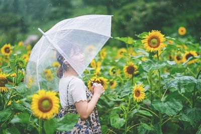 Close-up of woman holding yellow flowers