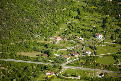 High angle view of agricultural field