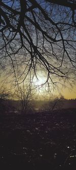 Silhouette bare tree on field against sky during sunset