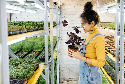 Young female farmer growing microgreens on indoor vertical garden. woman looking after plants. 