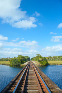 Railroad tracks amidst trees against sky