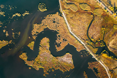 Aerial view of delta in autumn